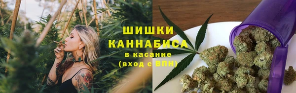 индика Зеленодольск